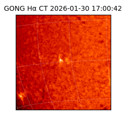 gong - 2026-01-30T17:00:42