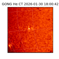 gong - 2026-01-30T18:00:42