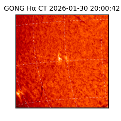 gong - 2026-01-30T20:00:42