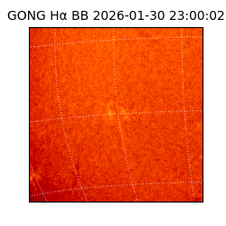 gong - 2026-01-30T23:00:02