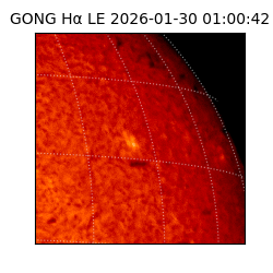 gong - 2026-01-30T01:00:42