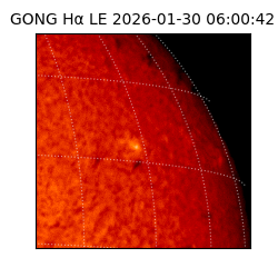 gong - 2026-01-30T06:00:42