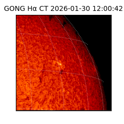 gong - 2026-01-30T12:00:42