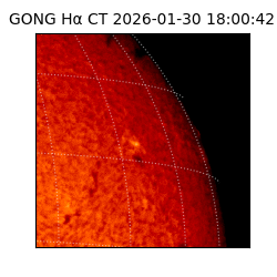 gong - 2026-01-30T18:00:42