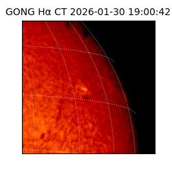 gong - 2026-01-30T19:00:42