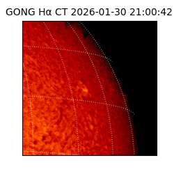 gong - 2026-01-30T21:00:42