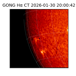 gong - 2026-01-30T20:00:42