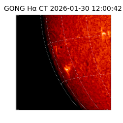 gong - 2026-01-30T12:00:42