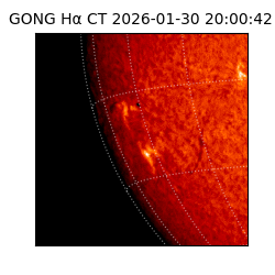 gong - 2026-01-30T20:00:42