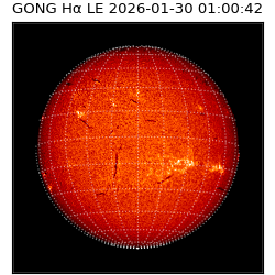gong - 2026-01-30T01:00:42