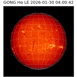 gong - 2026-01-30T04:00:42