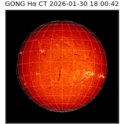 gong - 2026-01-30T18:00:42