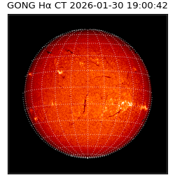 gong - 2026-01-30T19:00:42