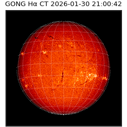 gong - 2026-01-30T21:00:42