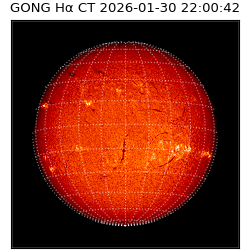 gong - 2026-01-30T22:00:42