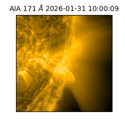 saia - 2026-01-31T10:00:09.350000