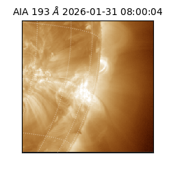 saia - 2026-01-31T08:00:04.843000