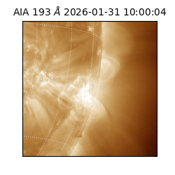 saia - 2026-01-31T10:00:04.843000