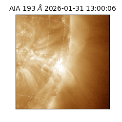 saia - 2026-01-31T13:00:06.937000