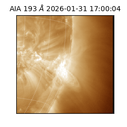 saia - 2026-01-31T17:00:04.843000