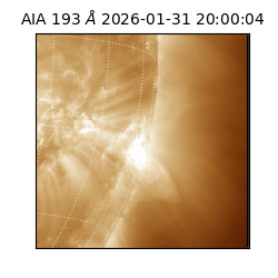 saia - 2026-01-31T20:00:04.843000