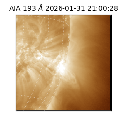 saia - 2026-01-31T21:00:28.843000