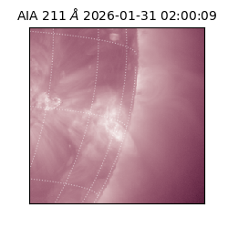 saia - 2026-01-31T02:00:09.626000