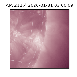 saia - 2026-01-31T03:00:09.630000