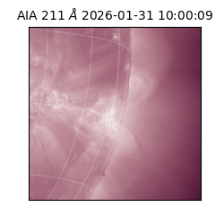 saia - 2026-01-31T10:00:09.622000