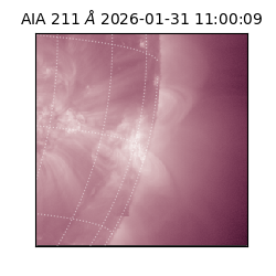saia - 2026-01-31T11:00:09.626000