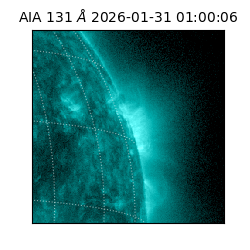 saia - 2026-01-31T01:00:06.622000