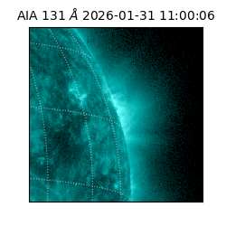 saia - 2026-01-31T11:00:06.622000