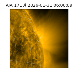 saia - 2026-01-31T06:00:09.349000