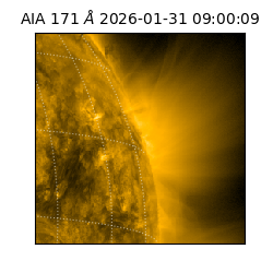 saia - 2026-01-31T09:00:09.350000