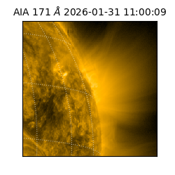 saia - 2026-01-31T11:00:09.350000