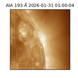 saia - 2026-01-31T01:00:04.846000