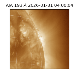 saia - 2026-01-31T04:00:04.843000