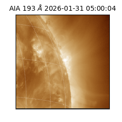 saia - 2026-01-31T05:00:04.843000