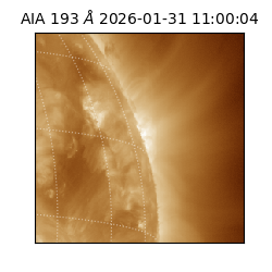 saia - 2026-01-31T11:00:04.843000