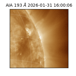 saia - 2026-01-31T16:00:06.936000