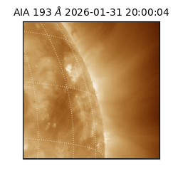 saia - 2026-01-31T20:00:04.843000