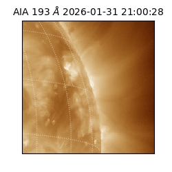 saia - 2026-01-31T21:00:28.843000