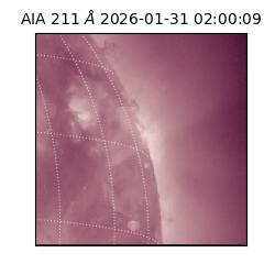 saia - 2026-01-31T02:00:09.626000