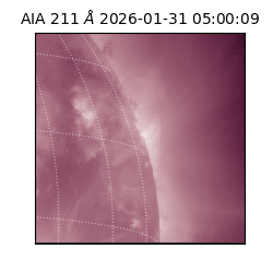 saia - 2026-01-31T05:00:09.630000