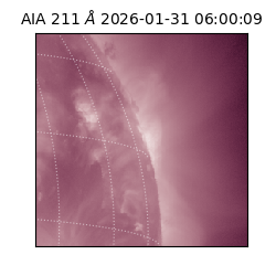 saia - 2026-01-31T06:00:09.633000