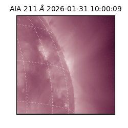 saia - 2026-01-31T10:00:09.622000