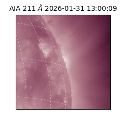 saia - 2026-01-31T13:00:09.623000