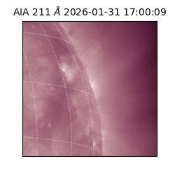 saia - 2026-01-31T17:00:09.622000