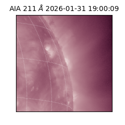 saia - 2026-01-31T19:00:09.626000