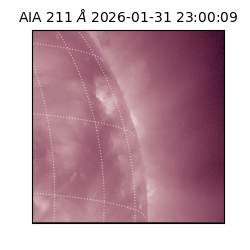 saia - 2026-01-31T23:00:09.630000